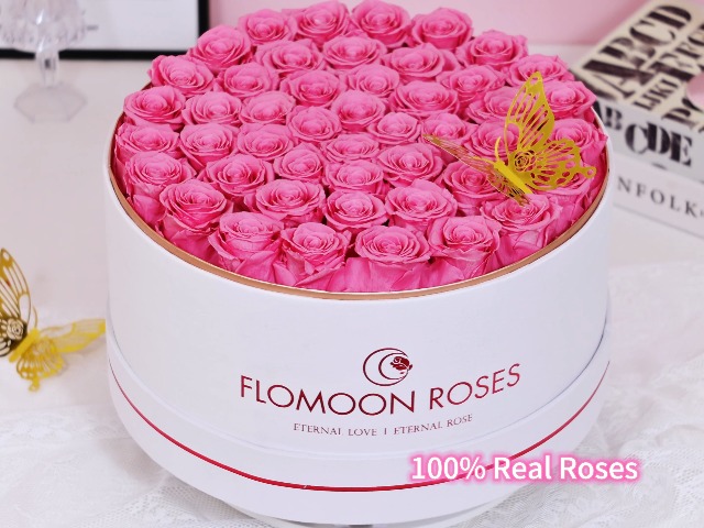 完売‼️ ALL ROSES LIVING PROOF Dash  完売‼️ ALL ROSES LIVING PROOF Dash Snow Amazon.co.jp: 完売